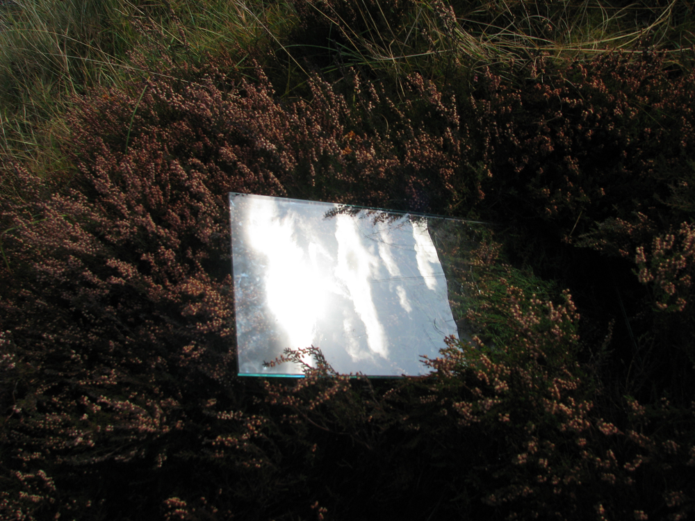Landscape Research Unit: 2007/2008